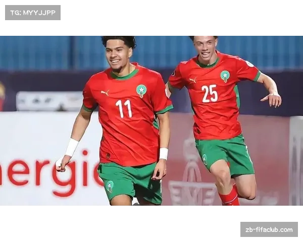 塞内加尔与摩洛哥均以小组头名晋级，非洲足球水平整体提升